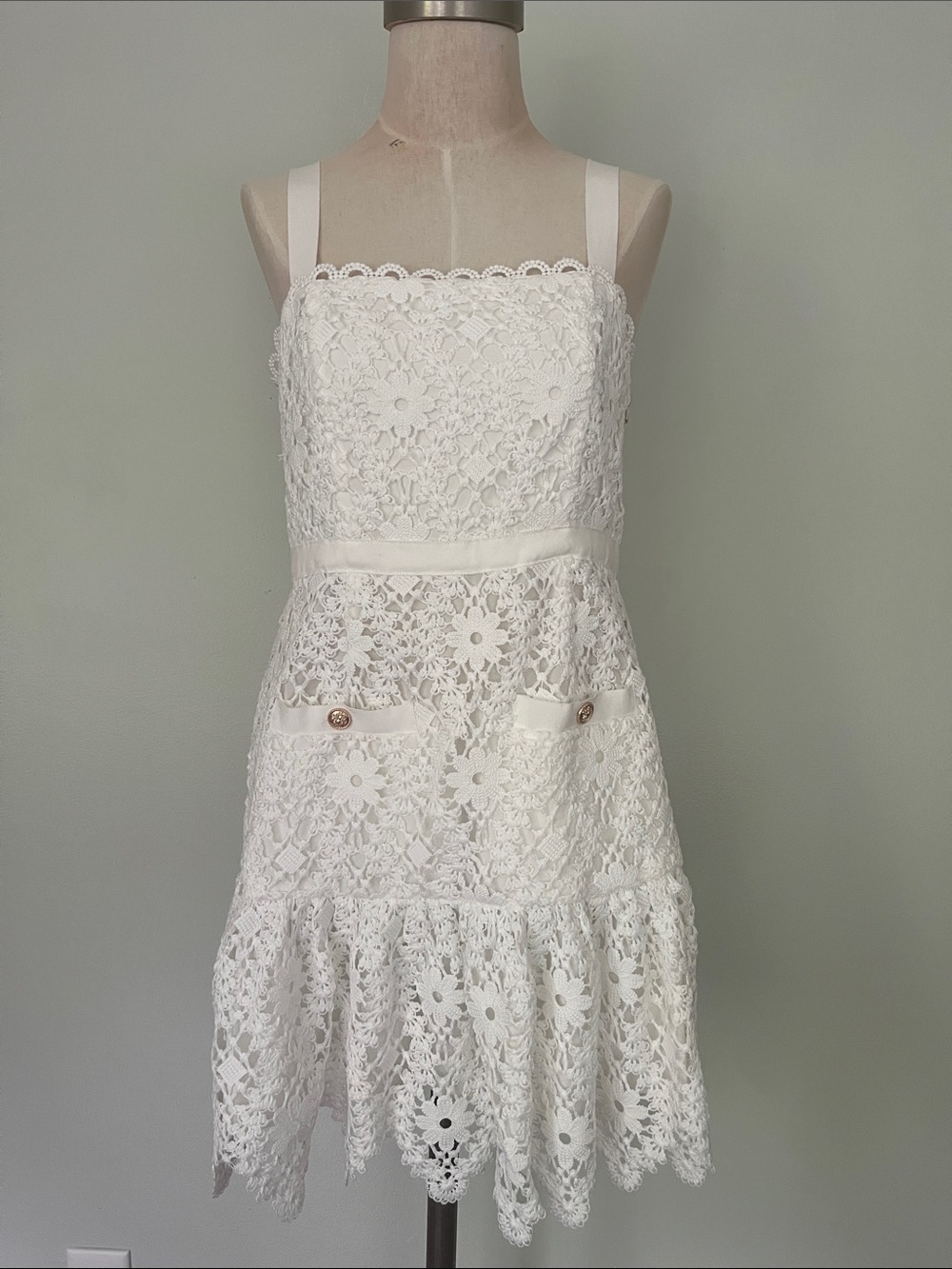 Saylor Verena Lace Mini Dress - Picture 5 of 11